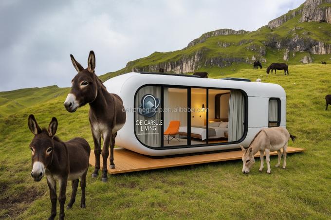 Lujo 20 pies Casa de contenedores de envío moderno Residencial pequeño Estructura de acero prefabricada para hoteles Villas Espacio de apartamentos 5