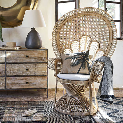 Muebles para exteriores de pavo de mimbre